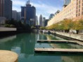 /album/chicago-10-10-2013/a1381462-232117326943055-55768643-n-jpg/
