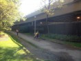 /album/chicago-10-10-2013/a1378511-232114600276661-2128686790-n-jpg/
