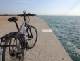 /album/chicago-11-10-2013/a1375691-232612843560170-2113881477-n-jpg1/