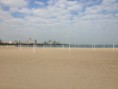 /album/chicago-11-10-2013/a1383646-232612823560172-1210066339-n-jpg1/