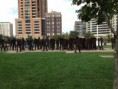 /album/chicago-11-10-2013/a1378670-232612626893525-1497678946-n-jpg1/